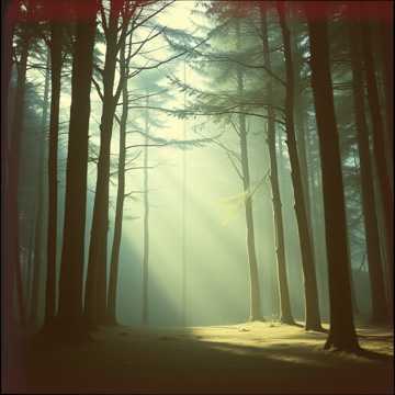 Song Cover