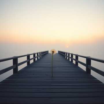 Song Cover