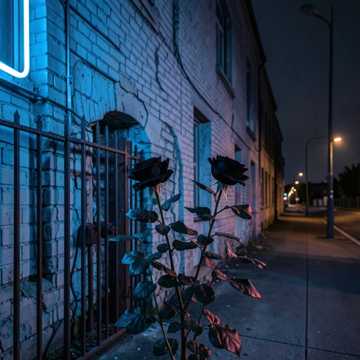 Song Cover