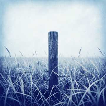 Song Cover
