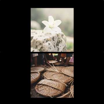 nest Cover