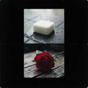 Song Cover
