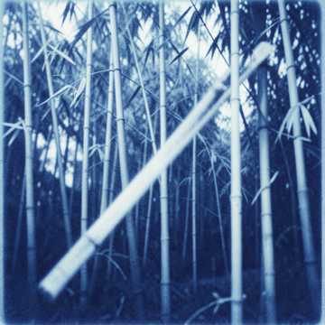 Song Cover