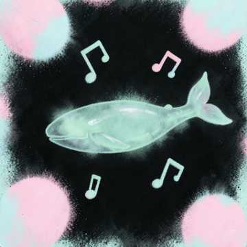 Song Cover