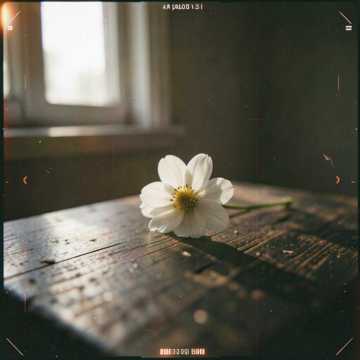 Song Cover