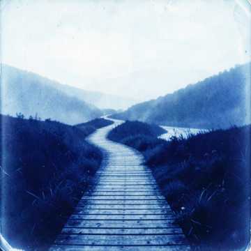 Step by Step Cover